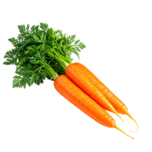 Zanahoria